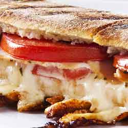 A toasted panini with sliced tomatoes and melting cheese sandwiched inside