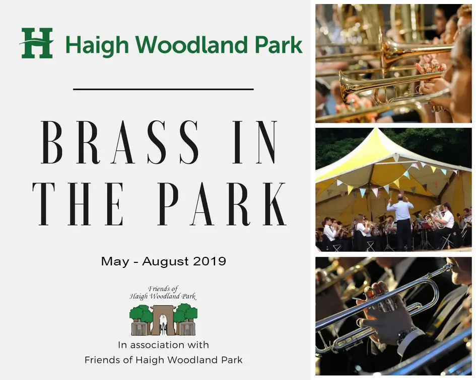 a collage of images of brass bands performing