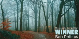 an autumn woodland scene