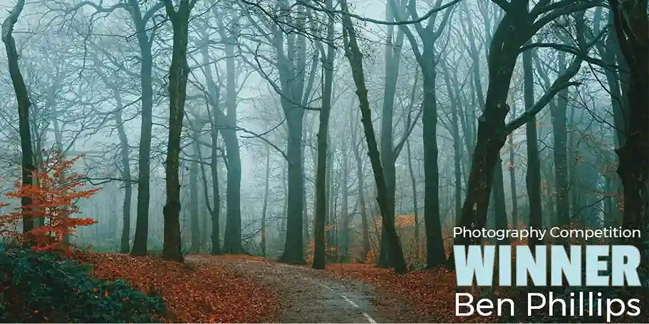an autumn woodland scene