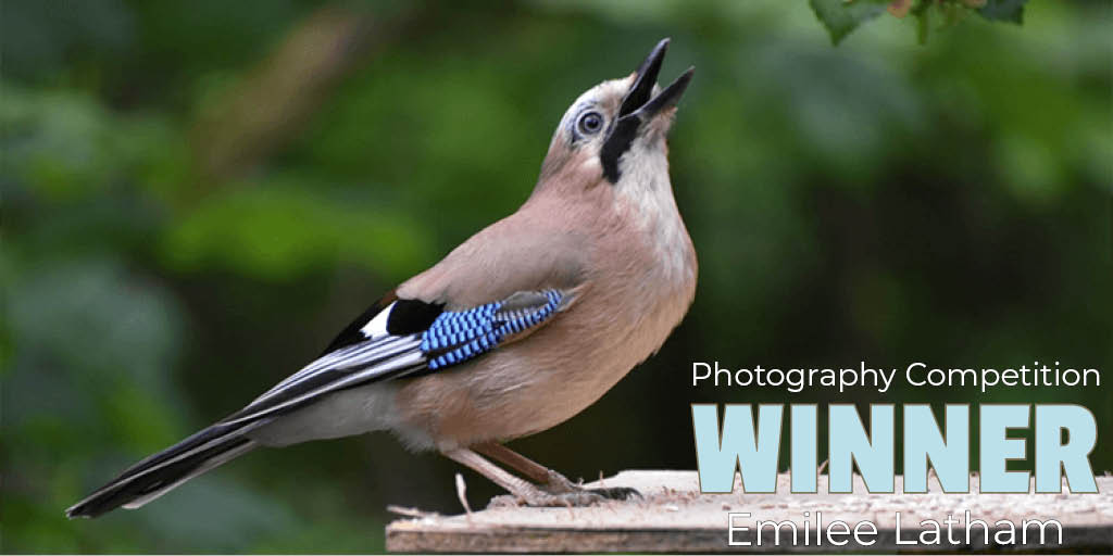 Photography Competition - Winner Emilee Latham